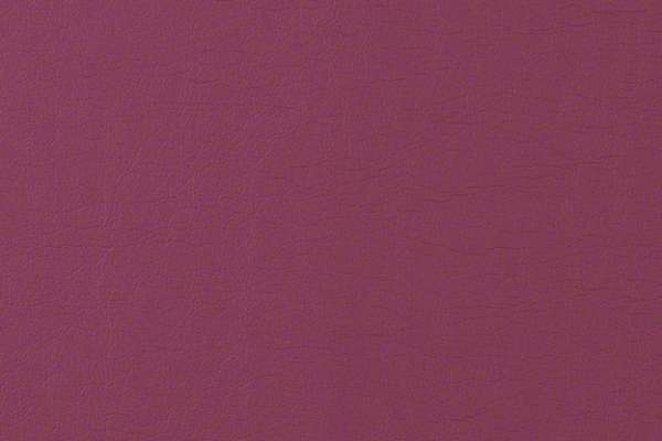 Corium Boysenberry