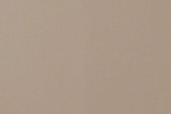 Corium Elm