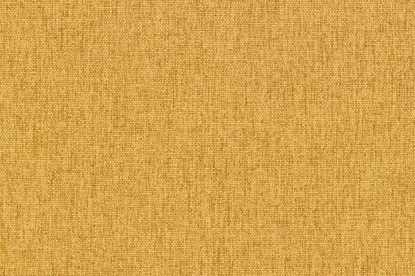 Face Value Sunflower