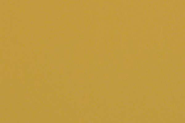Laredo Honey
