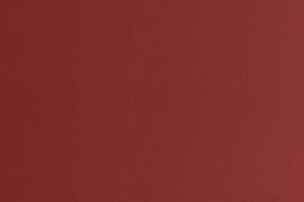 Moccasin 2.0 Rustic Red