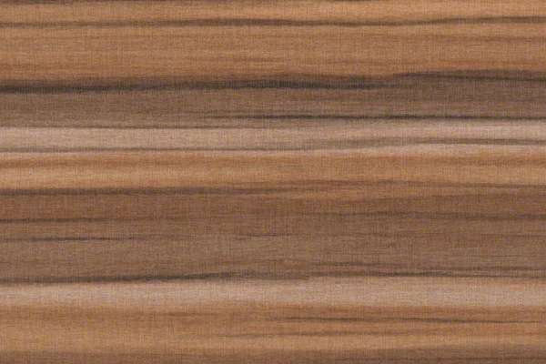 Perspective Sequoia