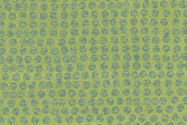 Polka Limelight