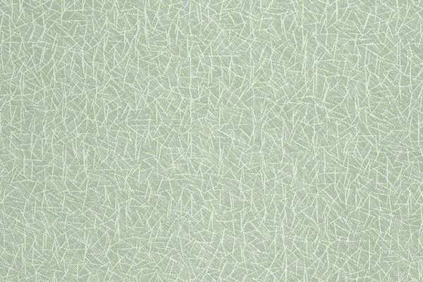 Prisma Evergreen