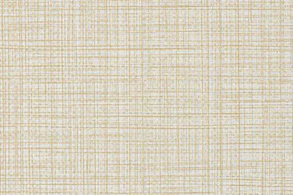 Raffia Flick