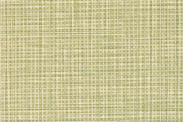 Raffia Director