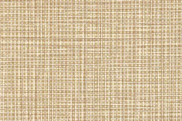 Raffia Cinema