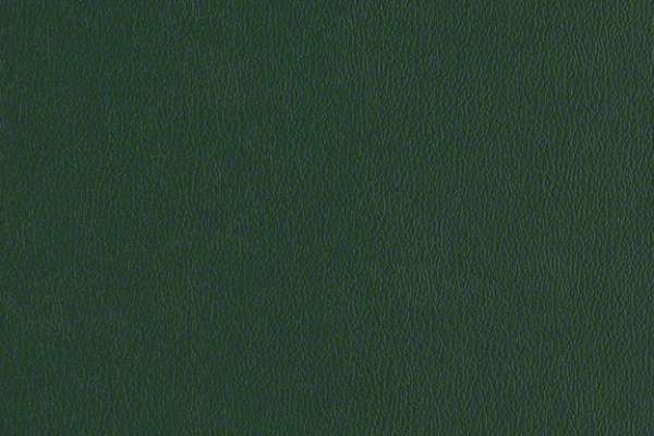 Rally Yew Green