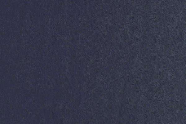 Rally Imperial Blue