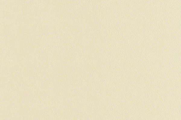 Rally Parchment