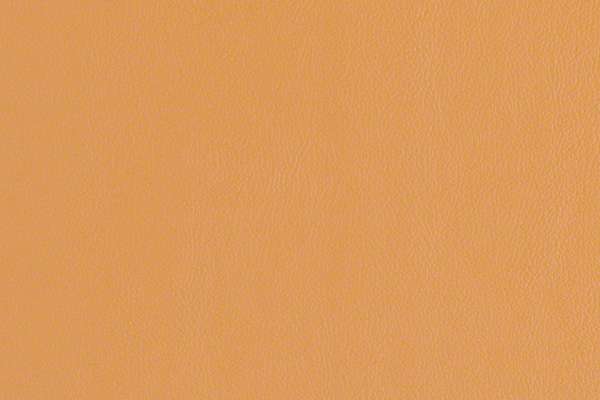 Rialto Butterscotch