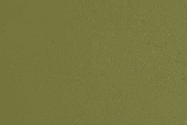 Scout 2.0 Green