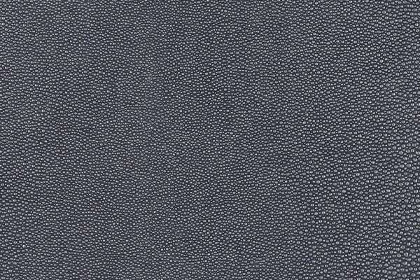 Shagreen Marlin