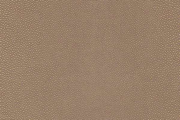 Shagreen Chai
