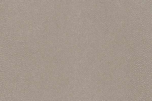 Shagreen Mineral