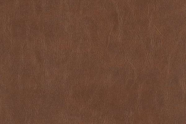Simply Hyde Brownie