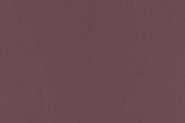 Stage Plum