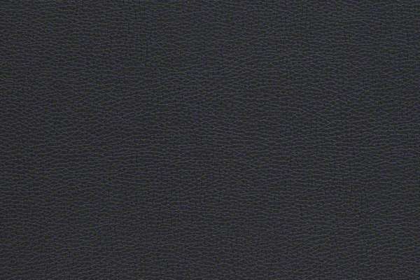 Sundance With Sta-kleen Pitch