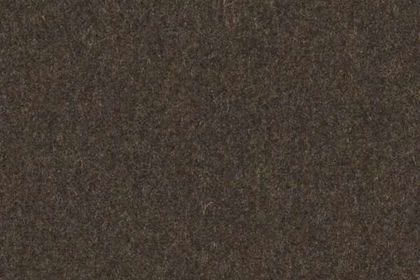 Top Coats Cynth