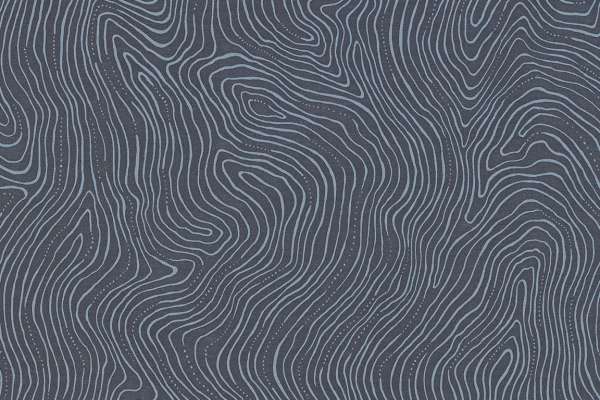 Topography Superior