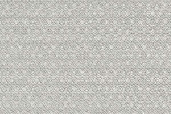 Twinkle Tapestry Woven Silver