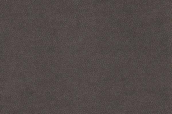 Udderly Perfected Pewter Perfect