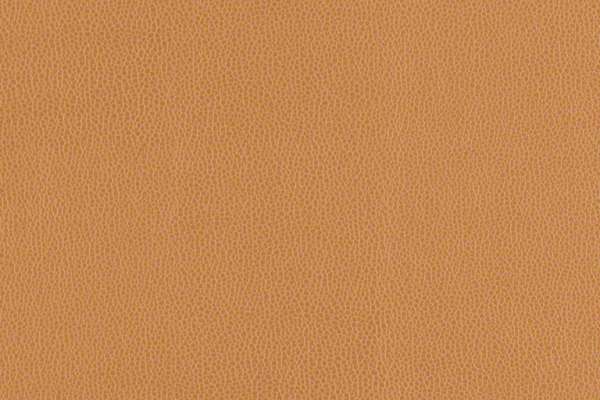 Volterra-hc Cashew