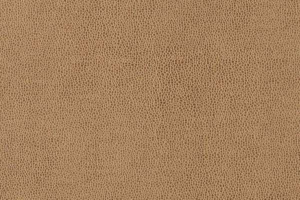 Western Willie Tumbleweed