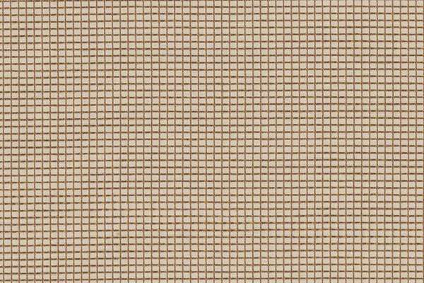 Zoom Forward