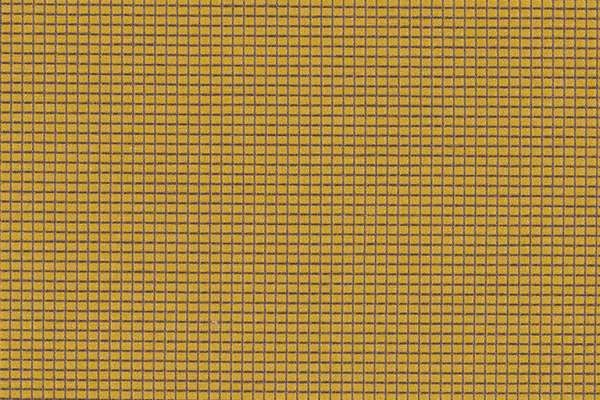 Zoom Buzz