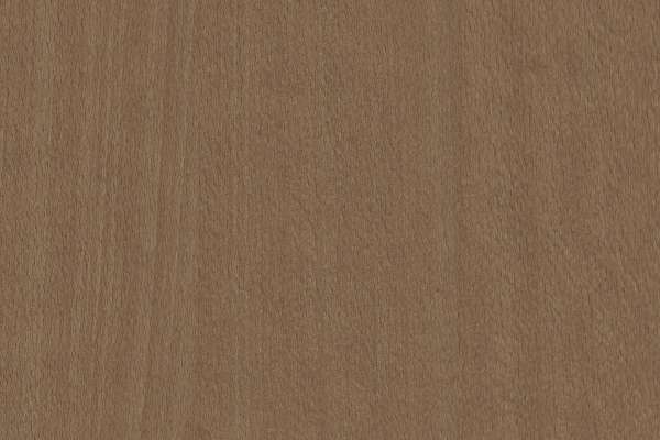 Chestnut on Beech