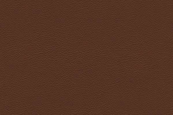 Safari Signature Leather
