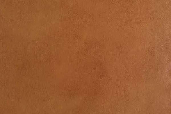 Old English Leather Camel