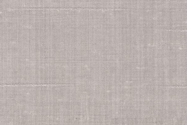 Organza Ash