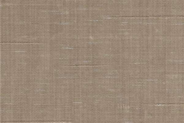 Organza Khaki