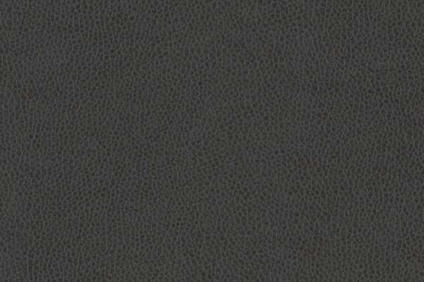 Palermo Ii Carbon