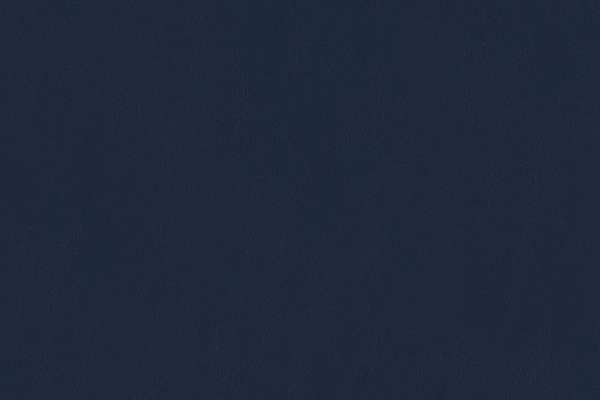 Prospect Navy