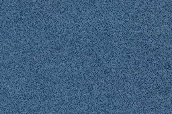 Patent Cadet Blue