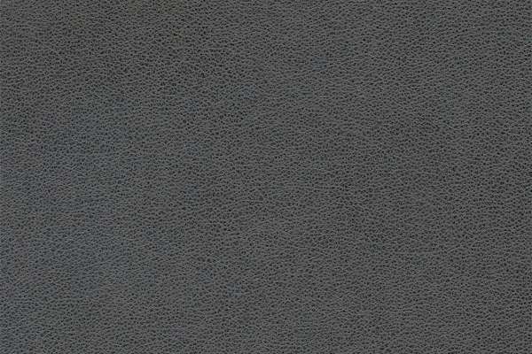Patent Charcoal