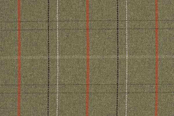 Picnic Plaid Meadow
