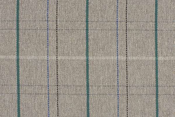 Picnic Plaid Pine