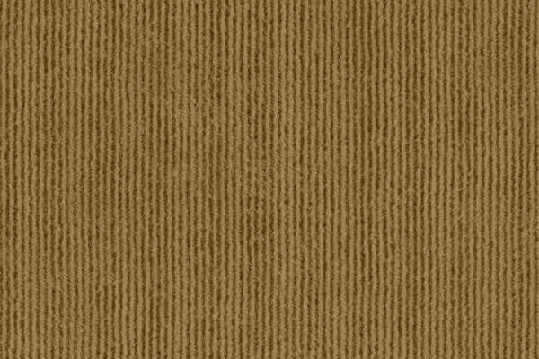 Pinwale Spice