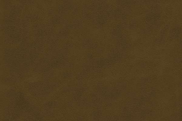 Pista Leather Sage