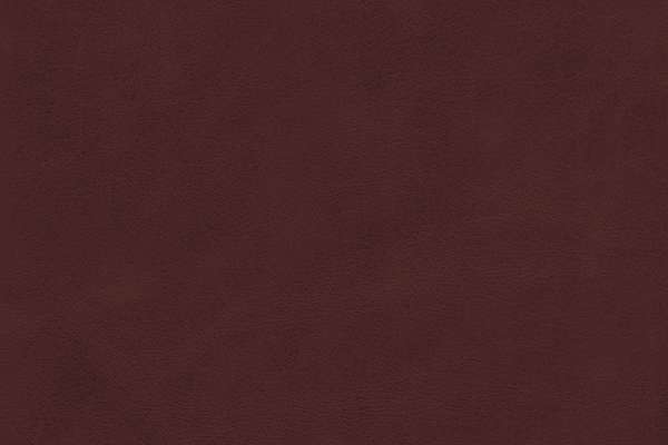 Pista Leather Marrone