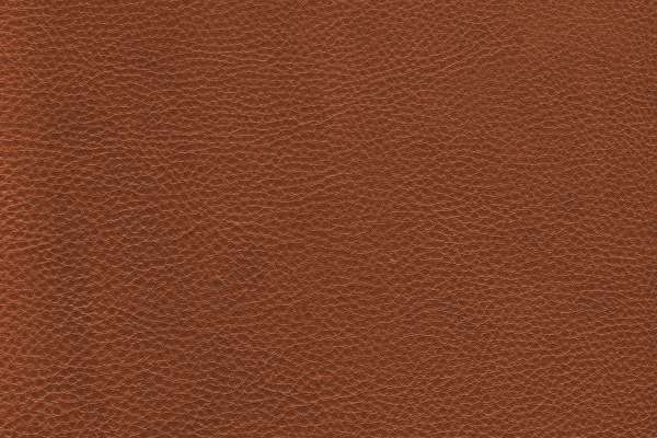 Prince Leather Squire