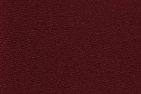 Prince Leather Guild