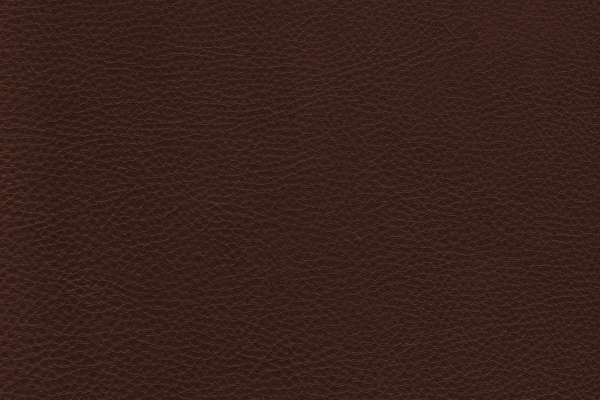 Prince Leather Huntsman