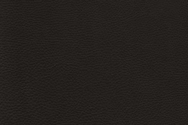 Prince Leather Castellan