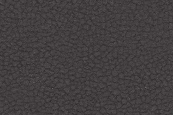 Purechic Charcoal