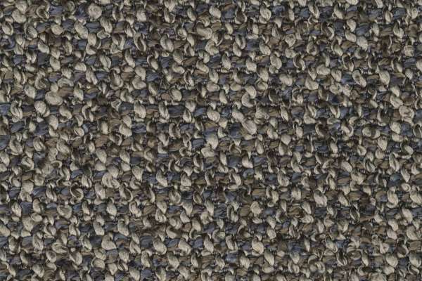 Purecurlicue Zinc